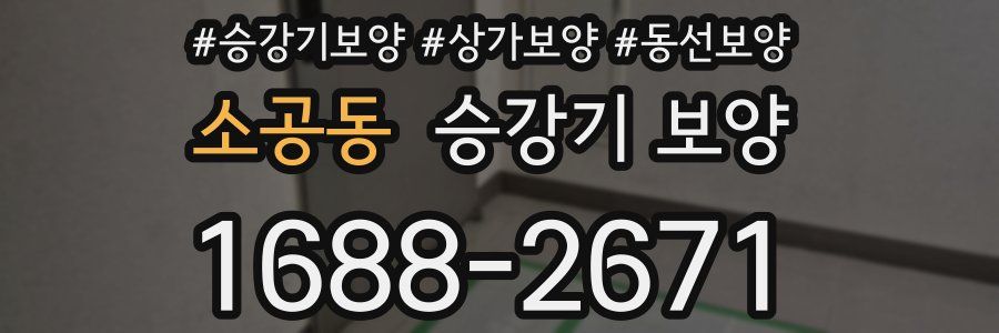 소공동 승강기 보양