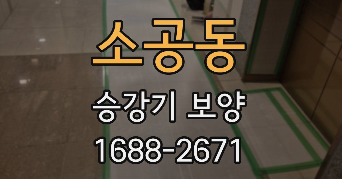 소공동 승강기 보양