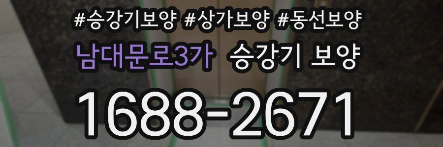 남대문로3가 승강기 보양