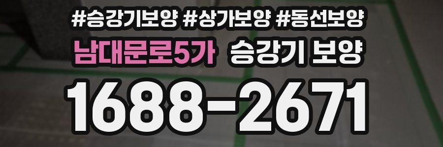 남대문로5가 승강기 보양