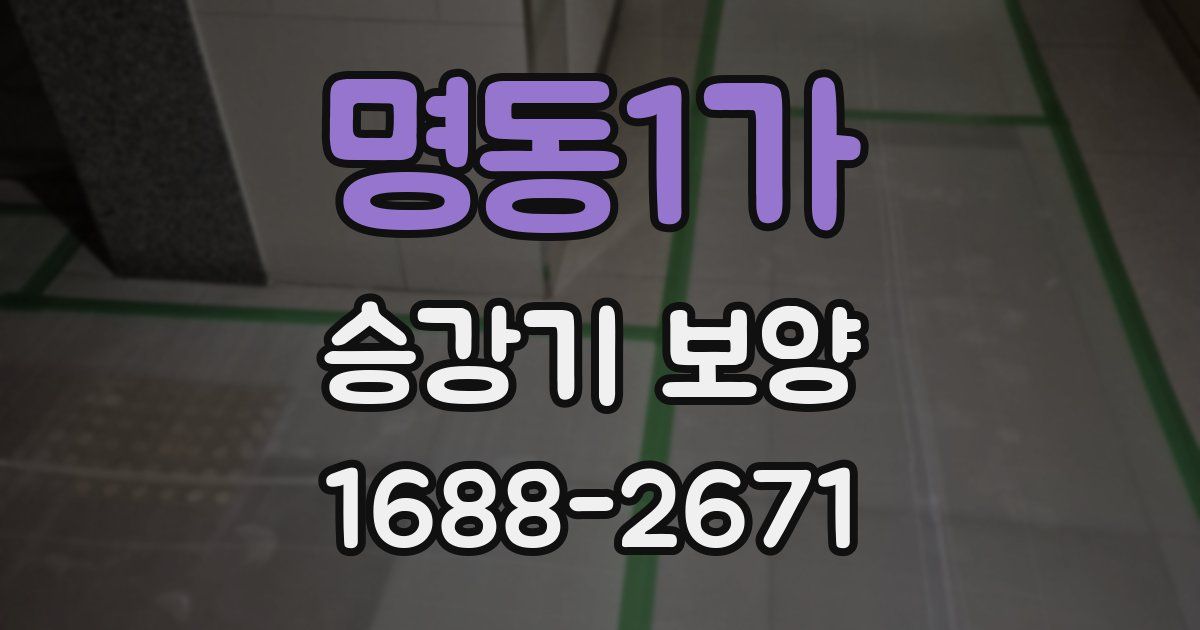 명동1가 승강기 보양