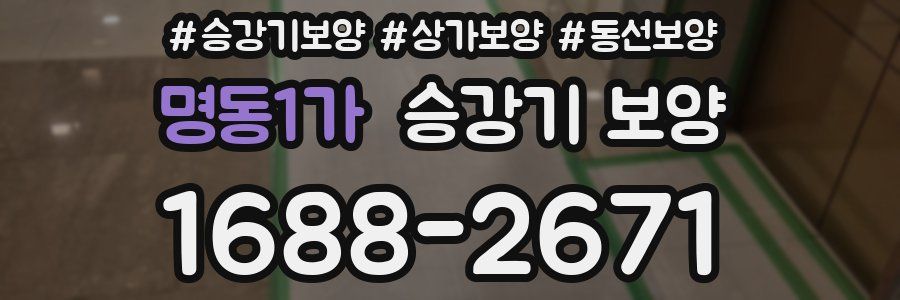 명동1가 승강기 보양