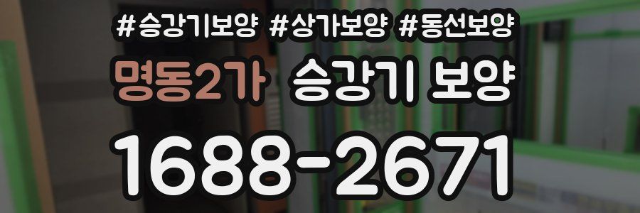 명동2가 승강기 보양