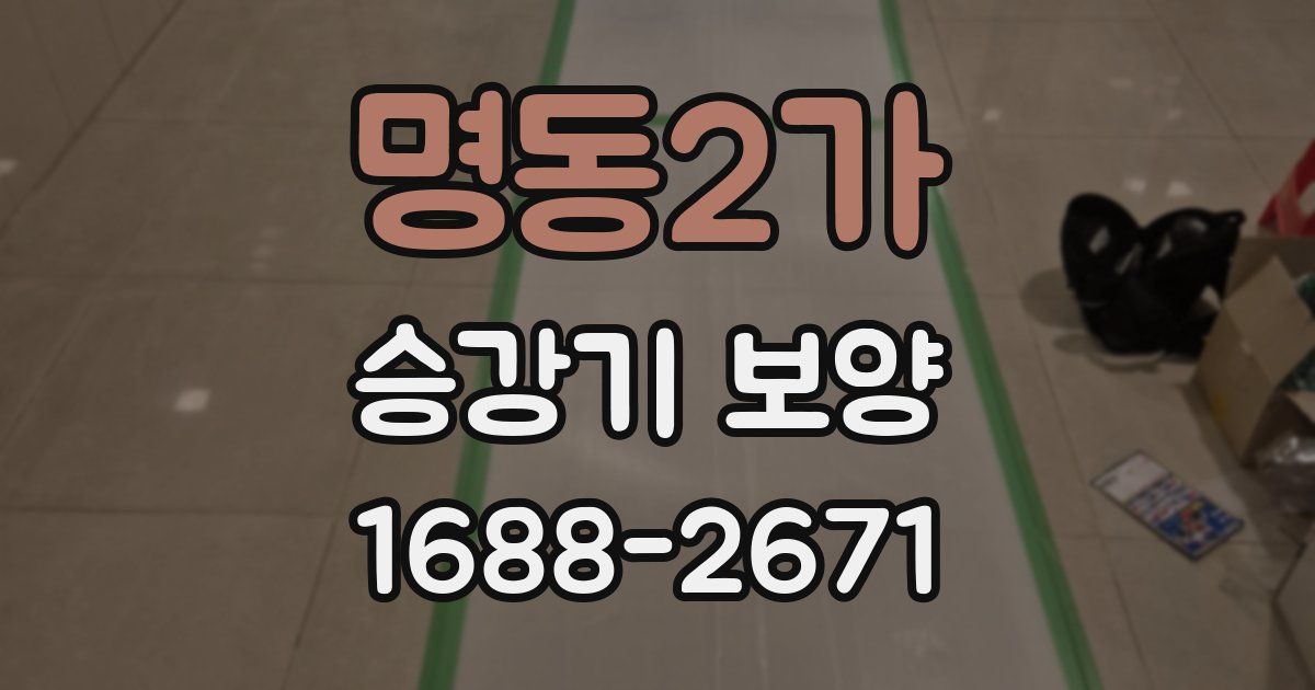 명동2가 승강기 보양