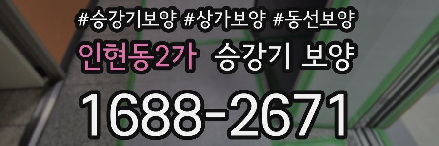 인현동2가 승강기 보양
