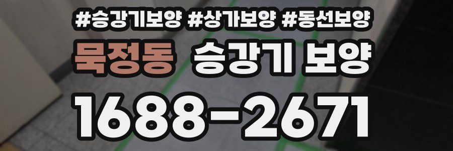 묵정동 승강기 보양