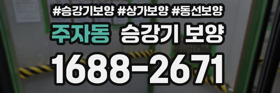 주자동 승강기 보양