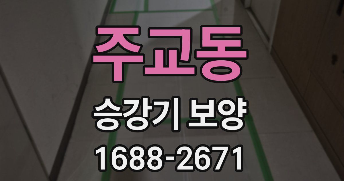 주교동 승강기 보양