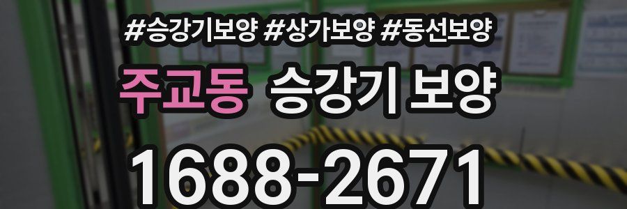 주교동 승강기 보양