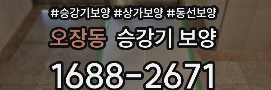 오장동 승강기 보양