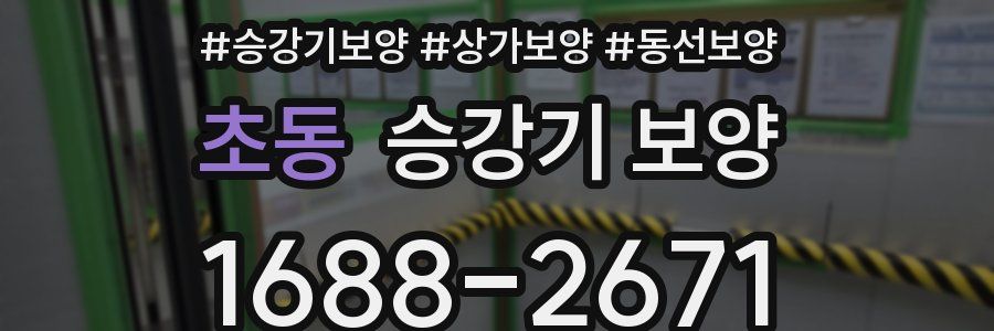 초동 승강기 보양