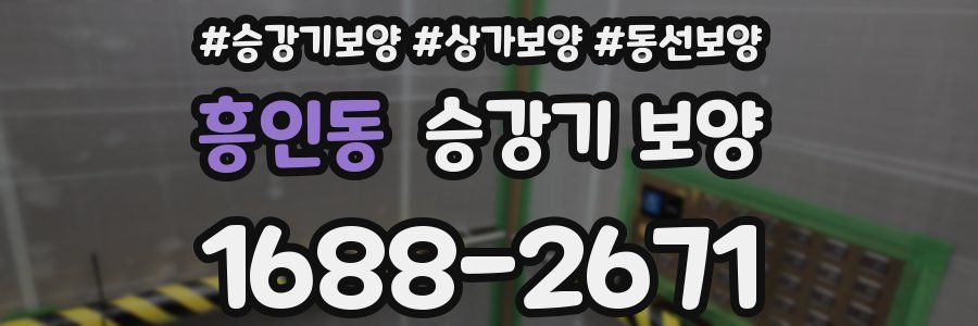 흥인동 승강기 보양