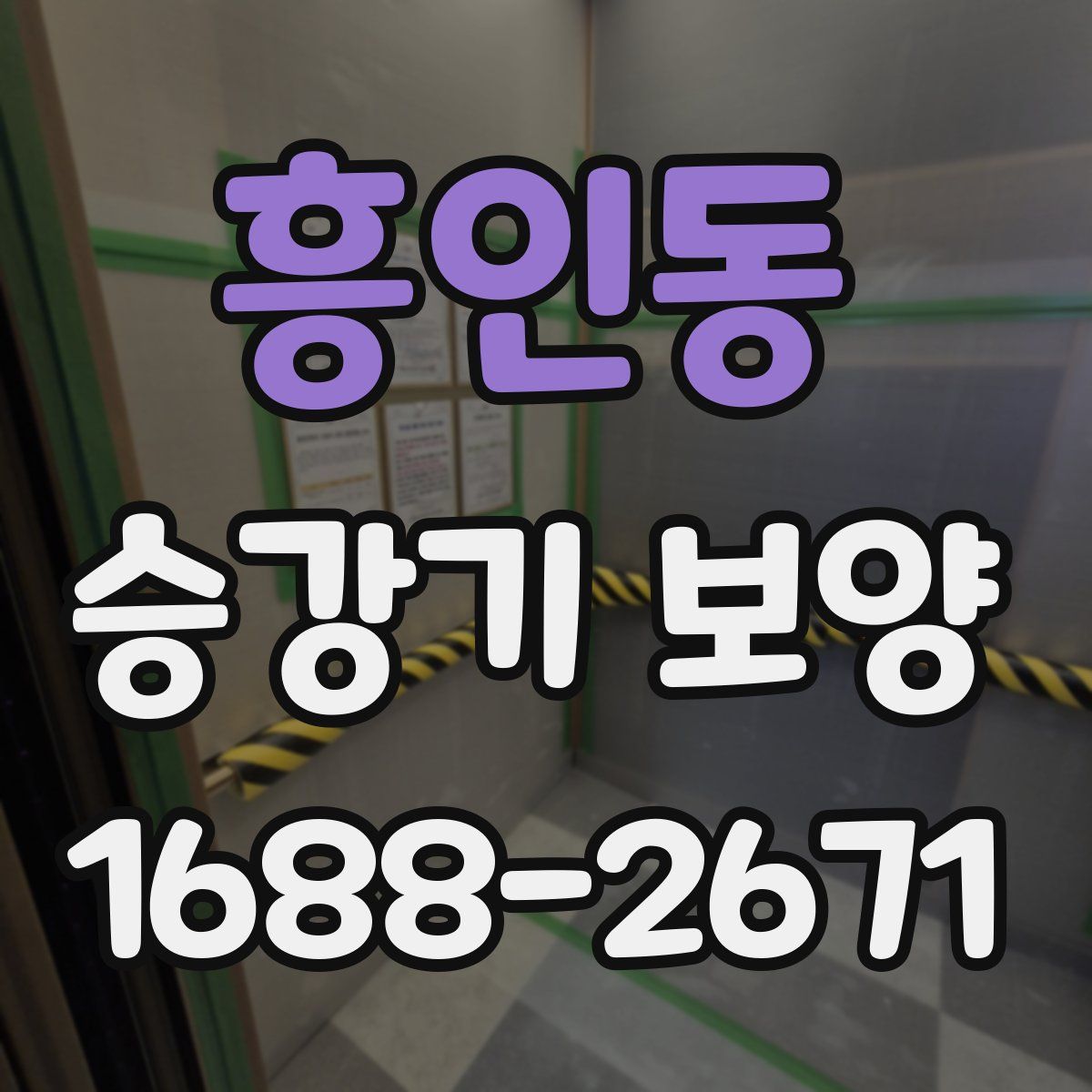 흥인동 승강기 보양