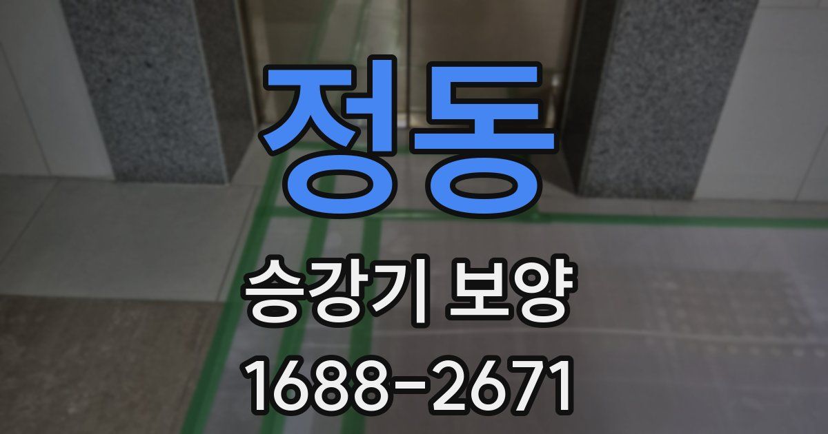 정동 승강기 보양