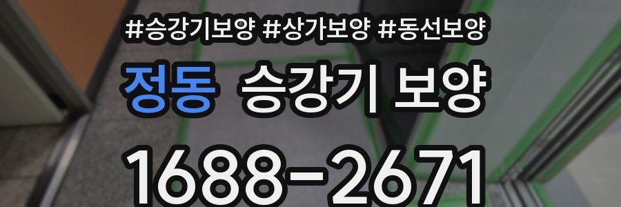 정동 승강기 보양