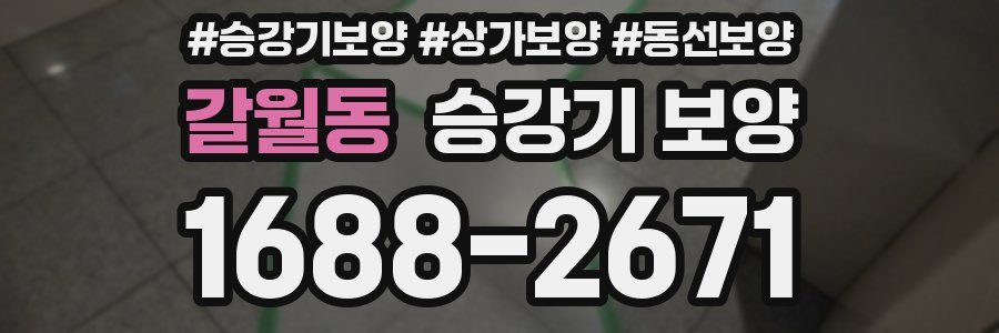 갈월동 승강기 보양