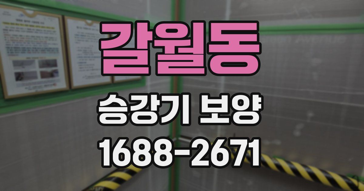 갈월동 승강기 보양