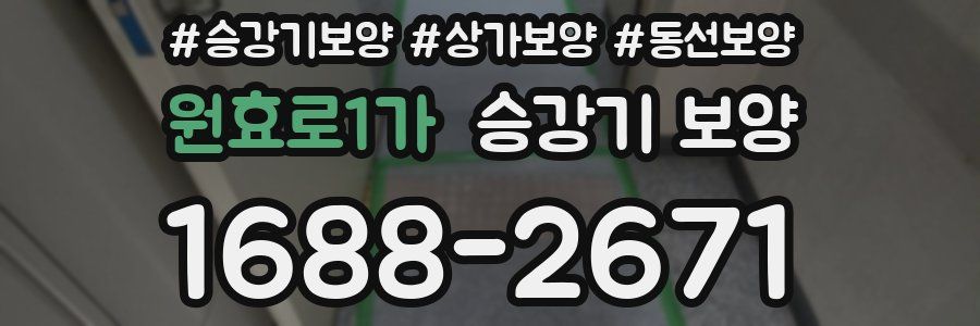 원효로1가 승강기 보양
