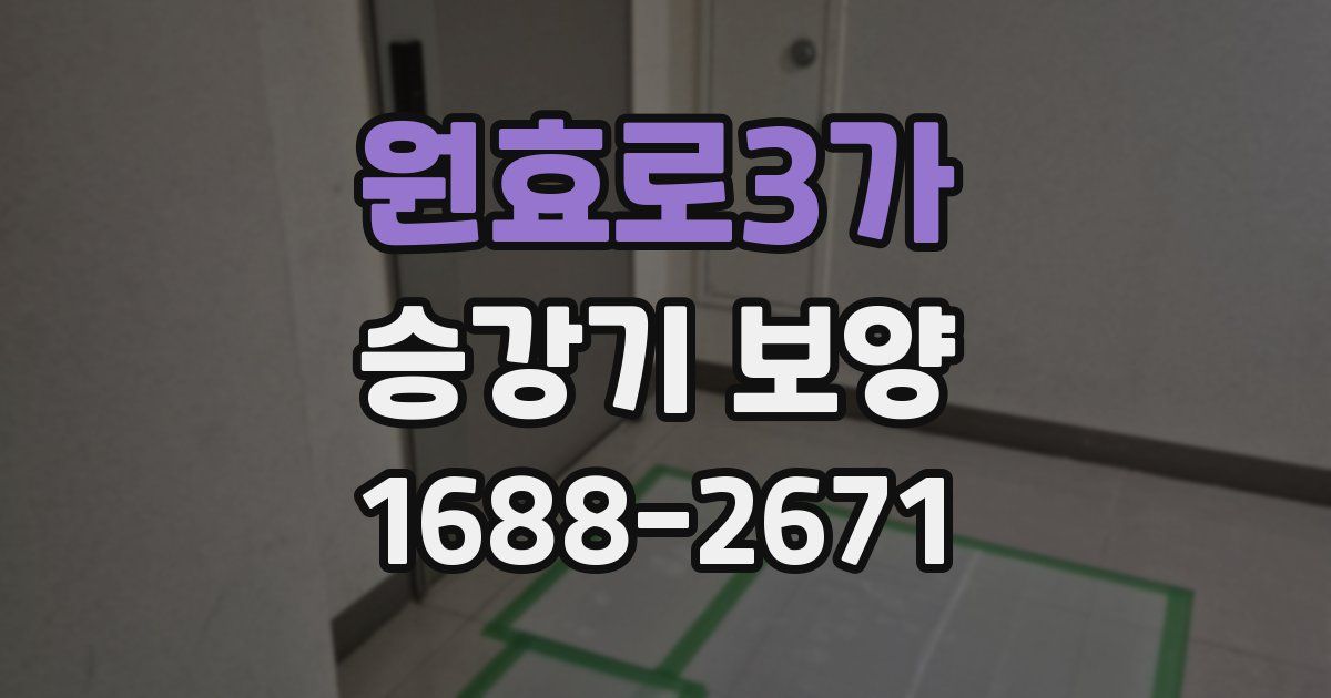 원효로3가 승강기 보양