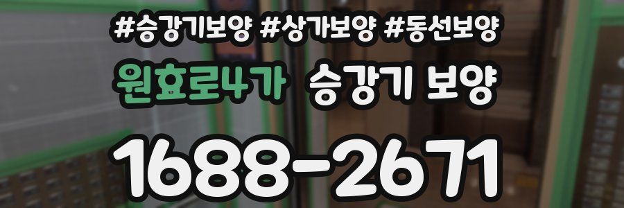 원효로4가 승강기 보양