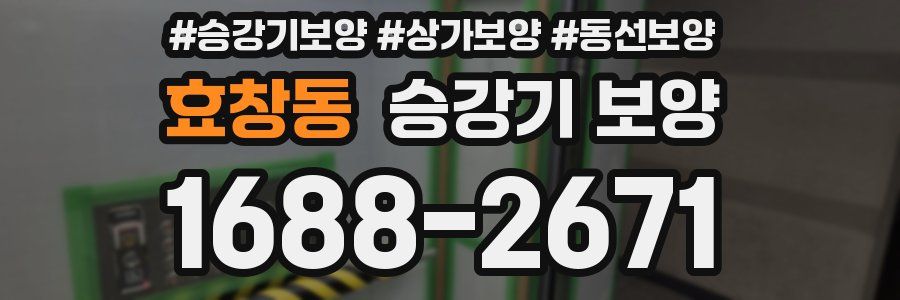 효창동 승강기 보양