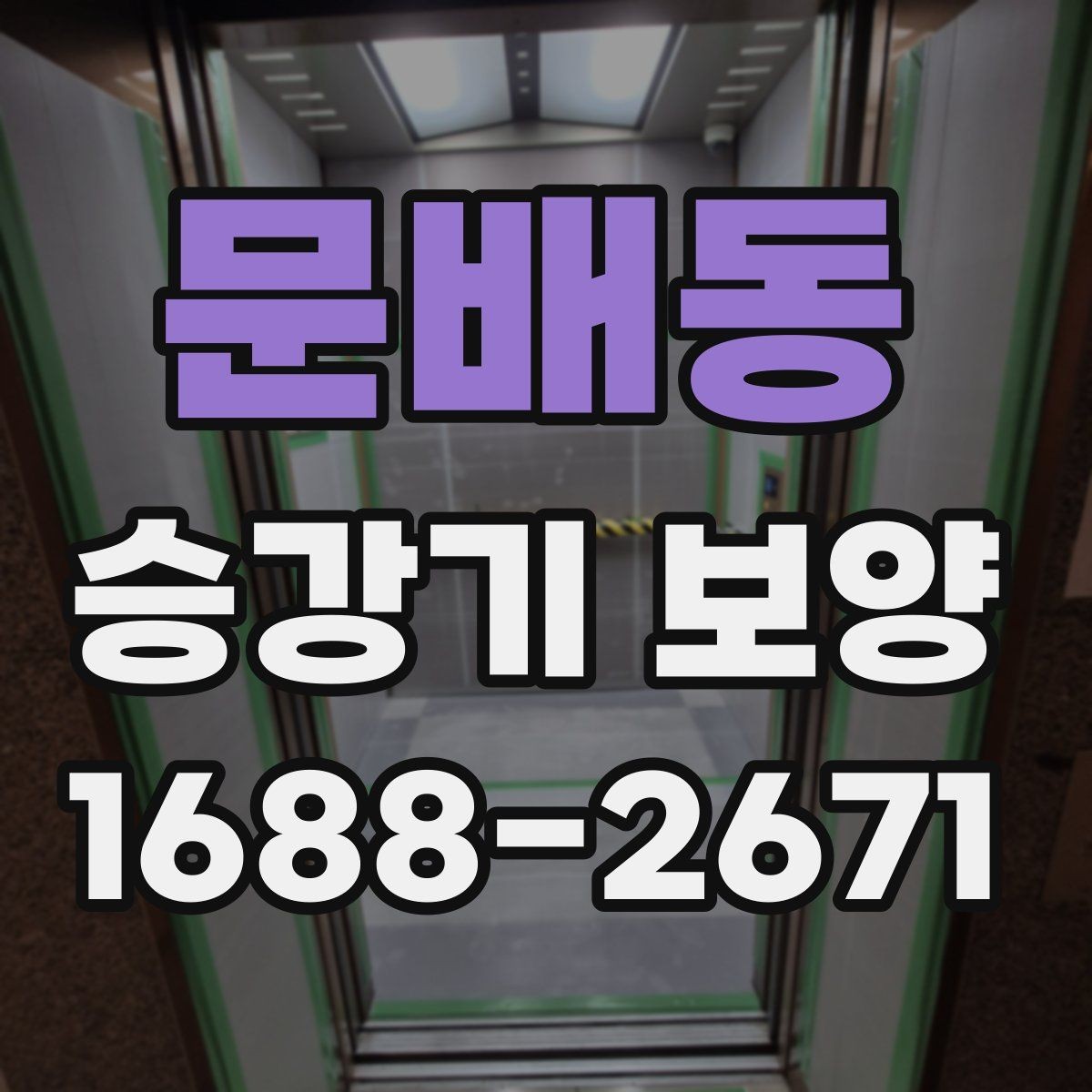 문배동 승강기 보양 품질을 확인하는 실무 기준