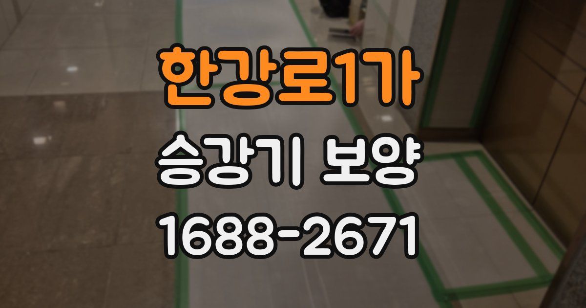 한강로1가 승강기 보양