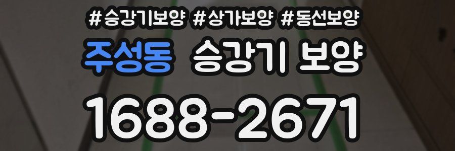 주성동 승강기 보양