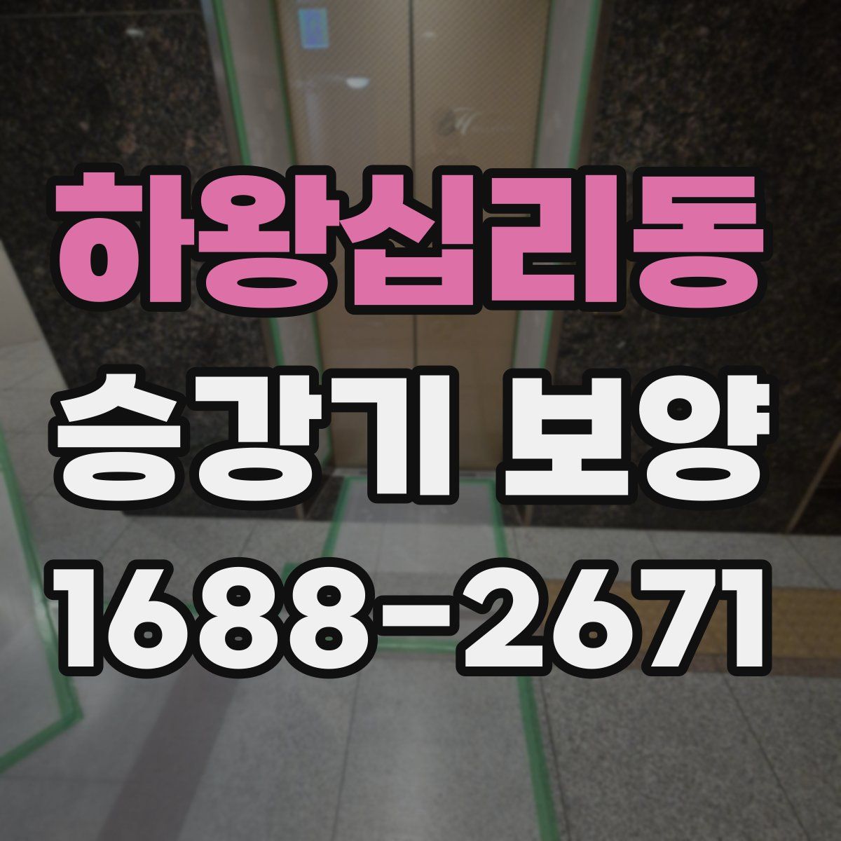 하왕십리동 승강기 보양