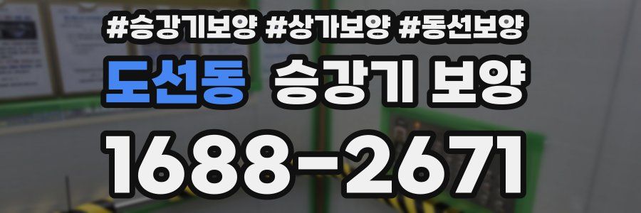 도선동 승강기 보양