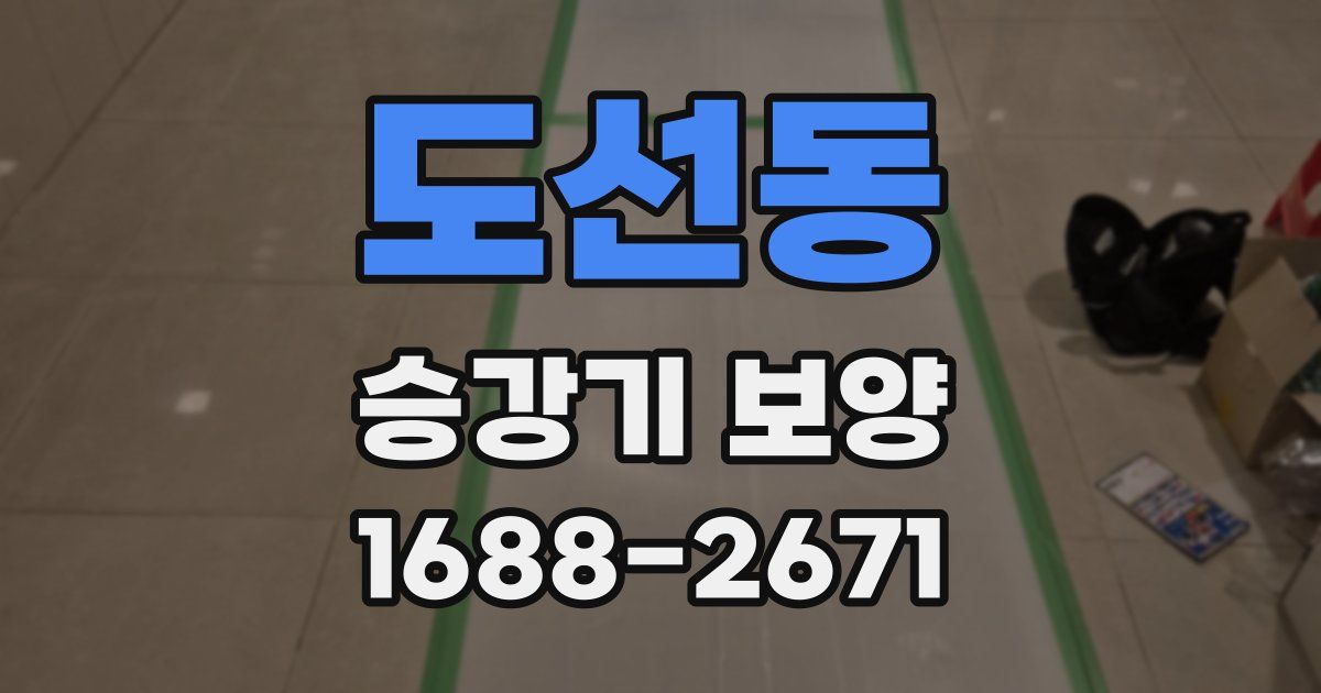 도선동 승강기 보양