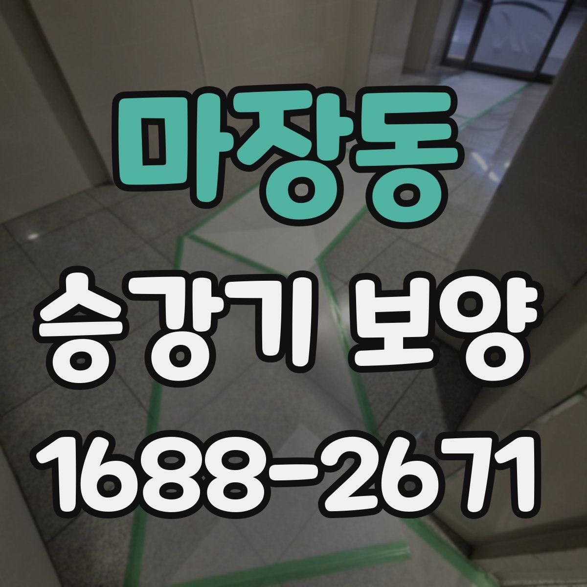 마장동 승강기 보양