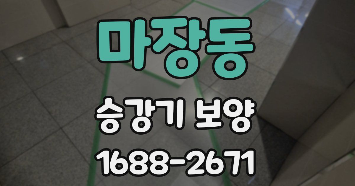 마장동 승강기 보양
