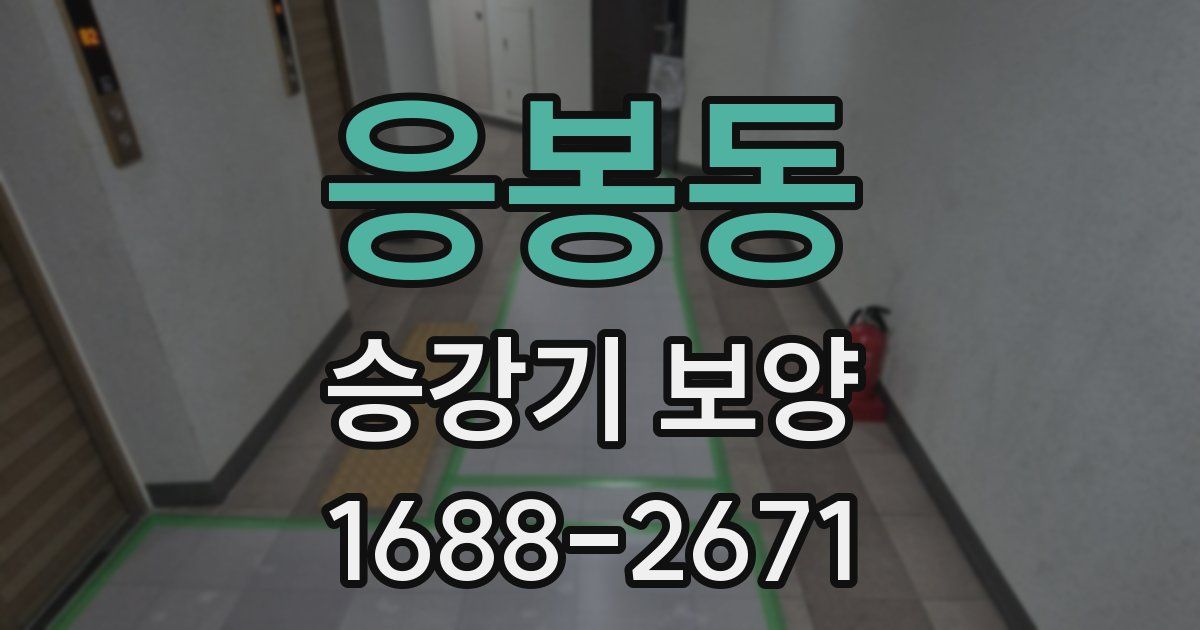 응봉동 승강기 보양