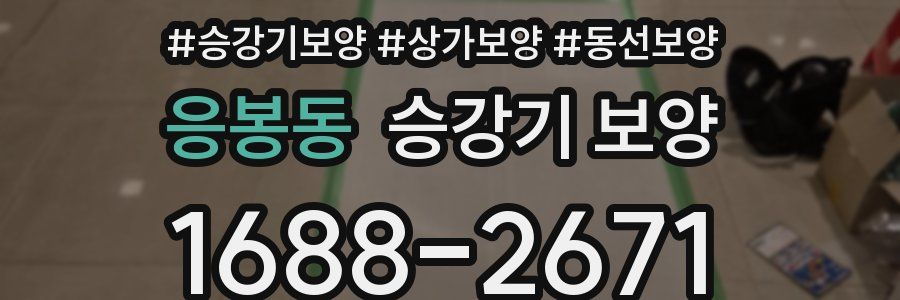응봉동 승강기 보양