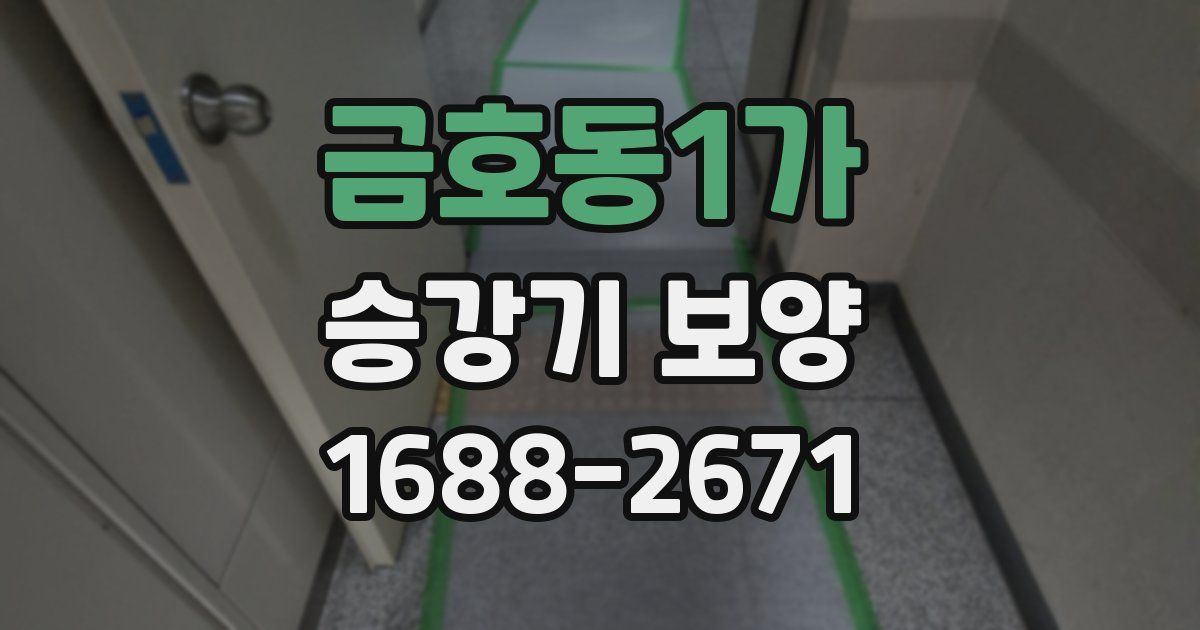 금호동1가 승강기 보양