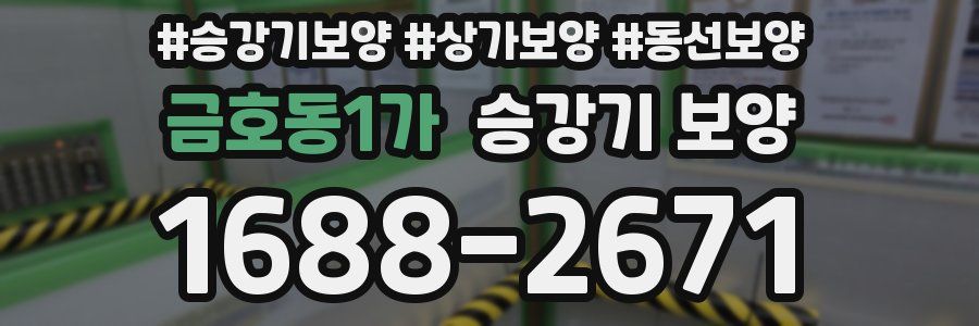 금호동1가 승강기 보양