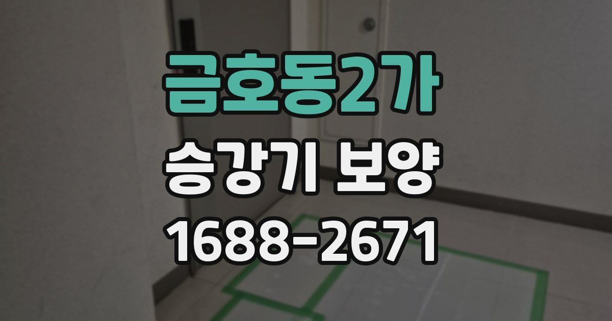금호동2가 승강기 보양