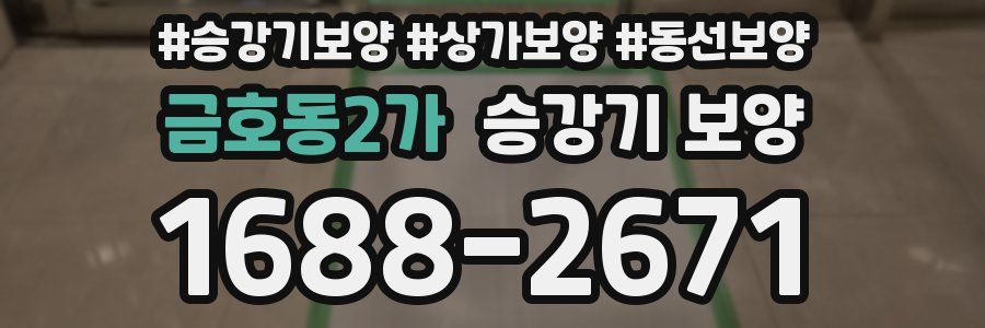 금호동2가 승강기 보양