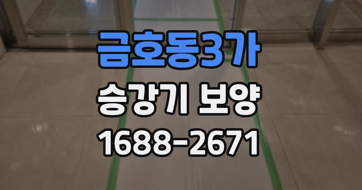금호동3가 승강기 보양