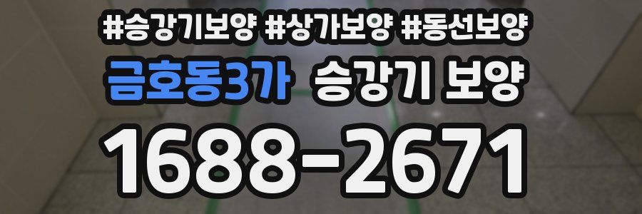 금호동3가 승강기 보양