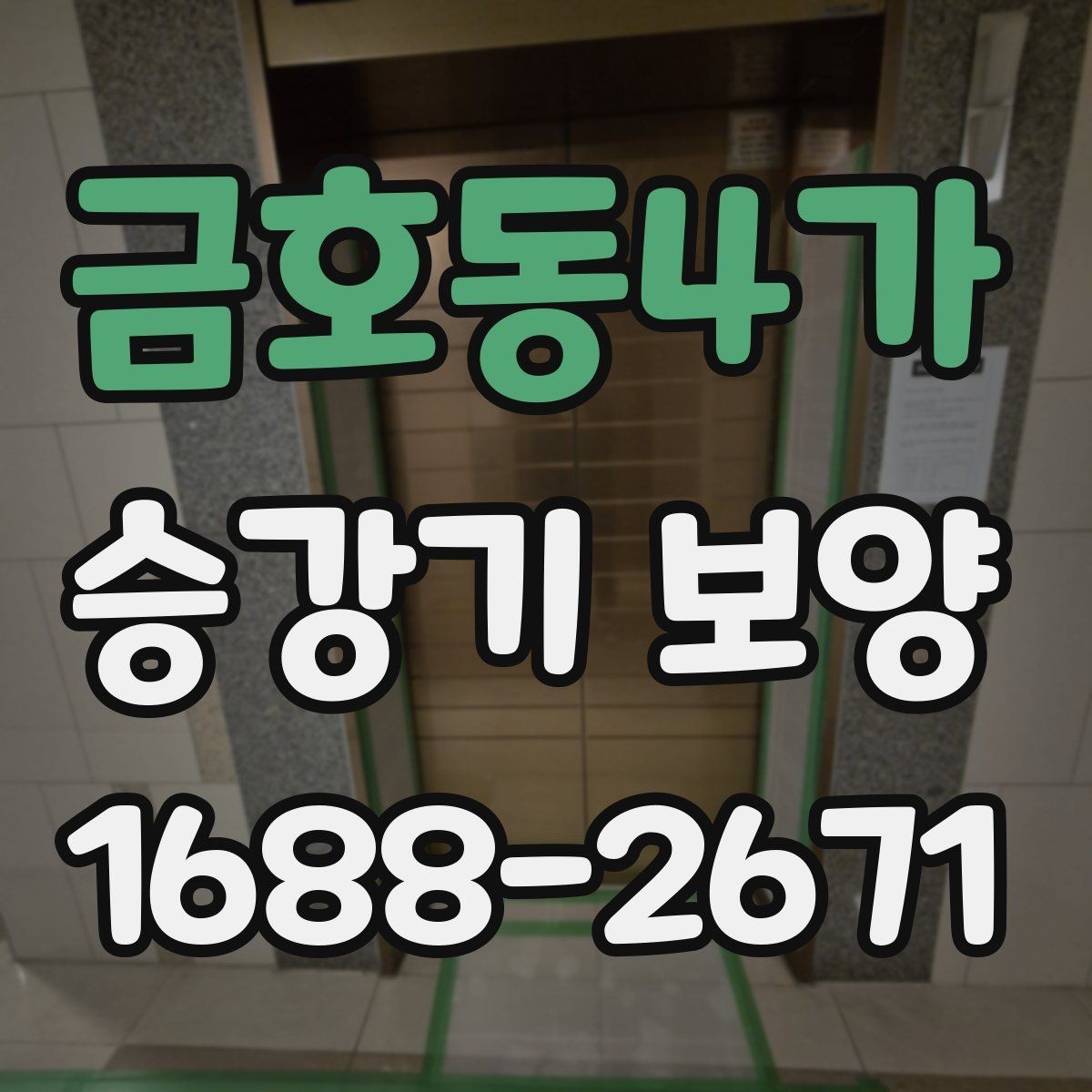 금호동4가 승강기 보양 마감 상태를 오래 유지하는 방법