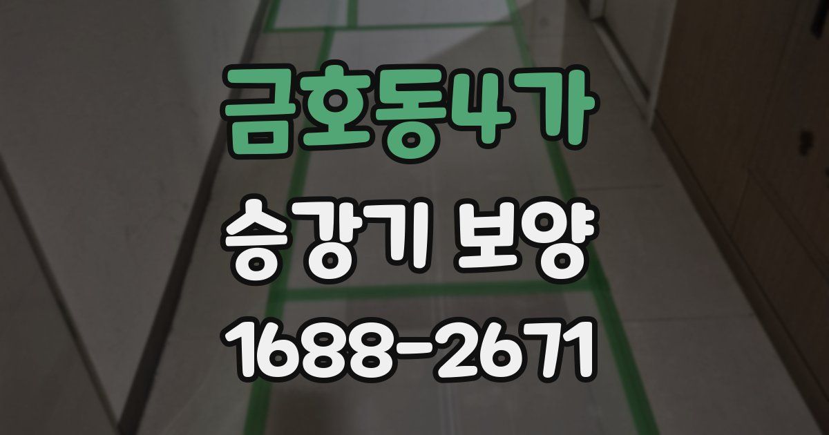 금호동4가 승강기 보양