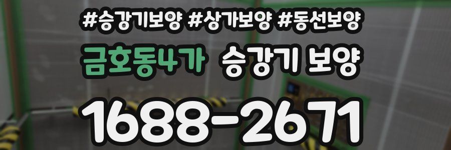 금호동4가 승강기 보양