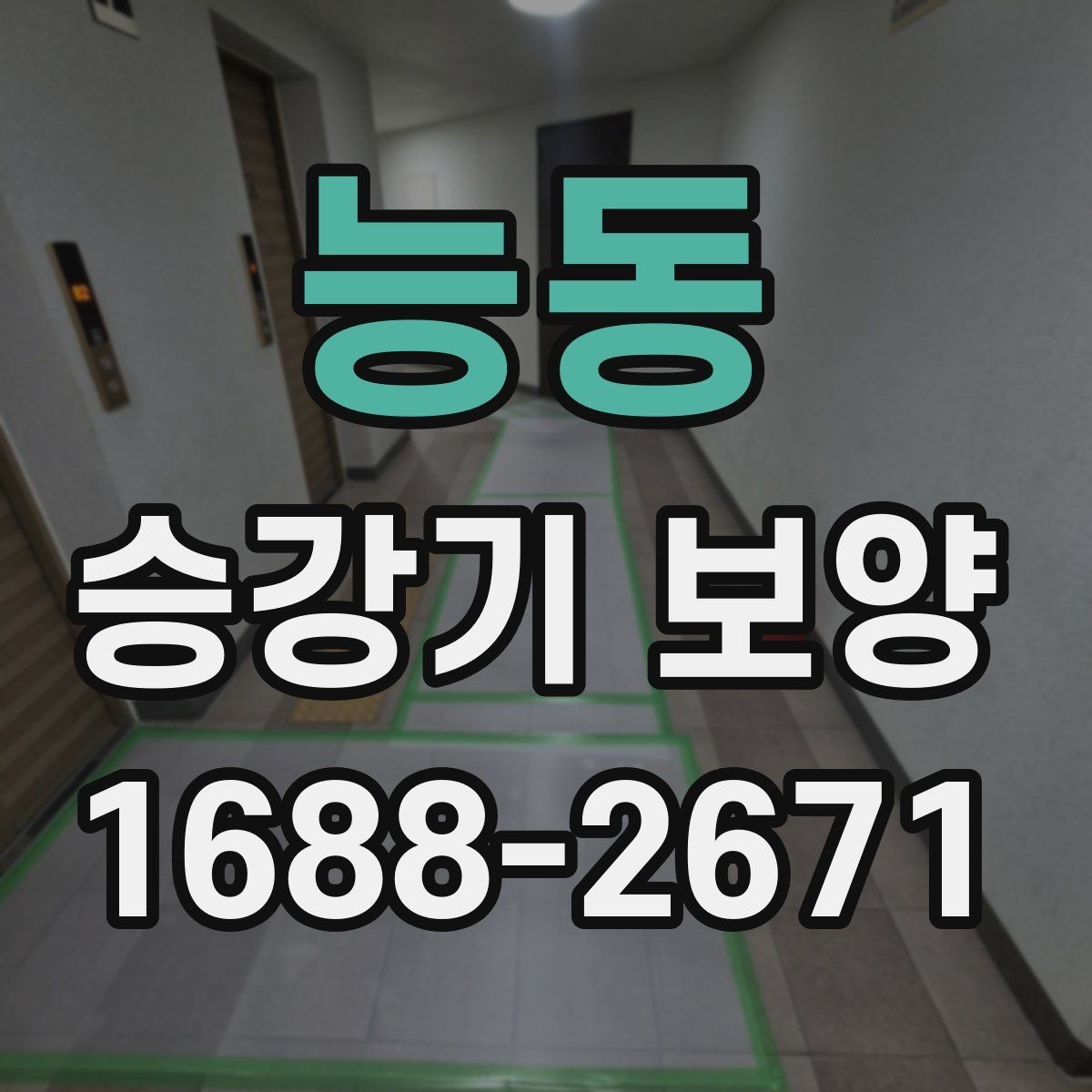 능동 승강기 보양 계획 세울 때 놓치기 쉬운 부분