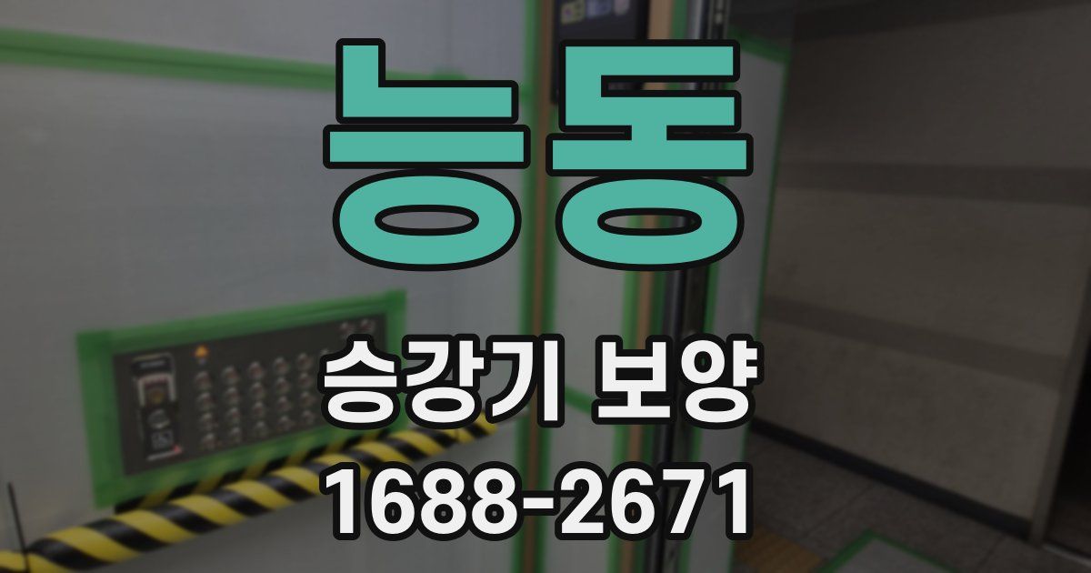 능동 승강기 보양