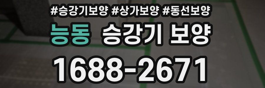 능동 승강기 보양