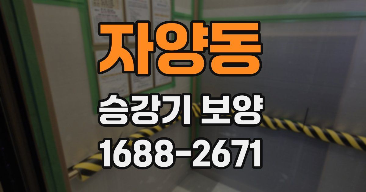 자양동 승강기 보양