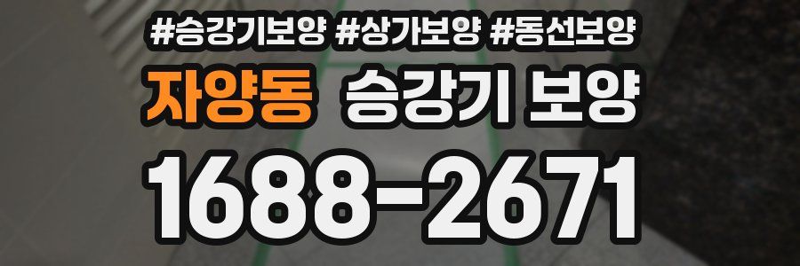 자양동 승강기 보양
