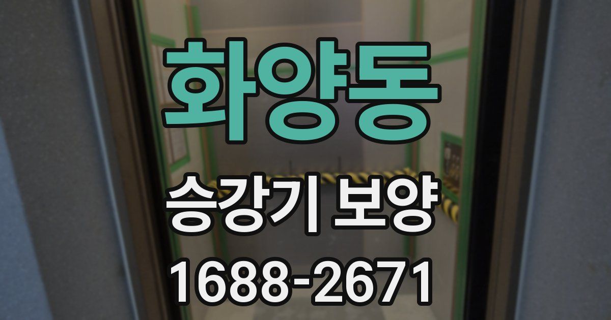 화양동 승강기 보양
